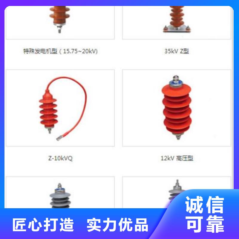 避雷器Y10W5-100/260【羿振电气】