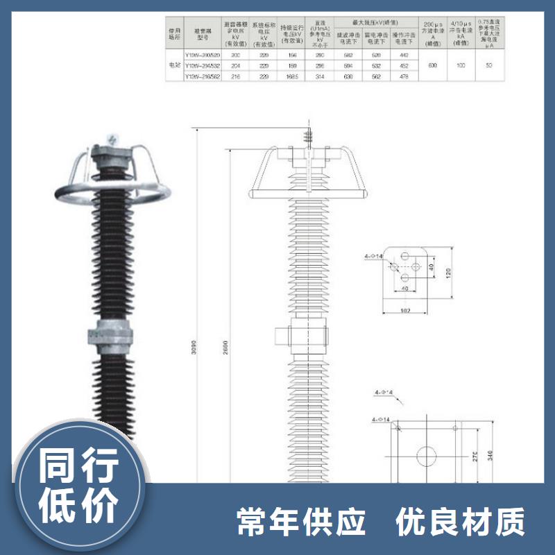 避雷器Y10W-216/562【浙江羿振电气有限公司】