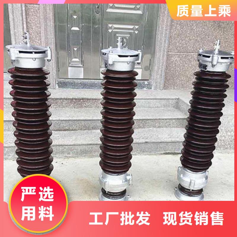 避雷器YH5W5-100/260L【羿振电气】