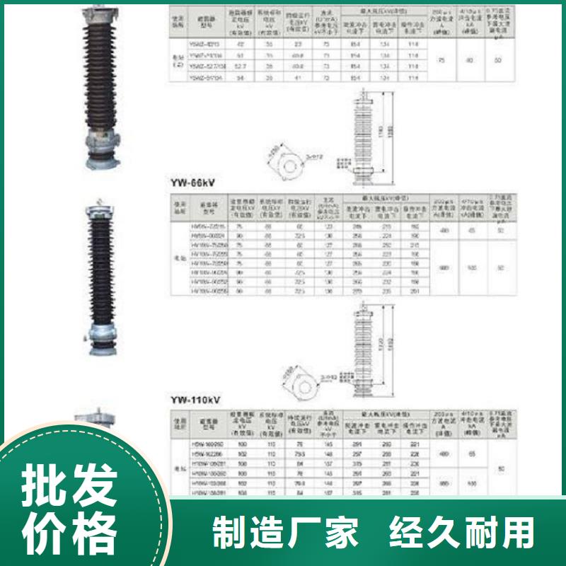 避雷器YH10CX-102/260J【羿振电气】