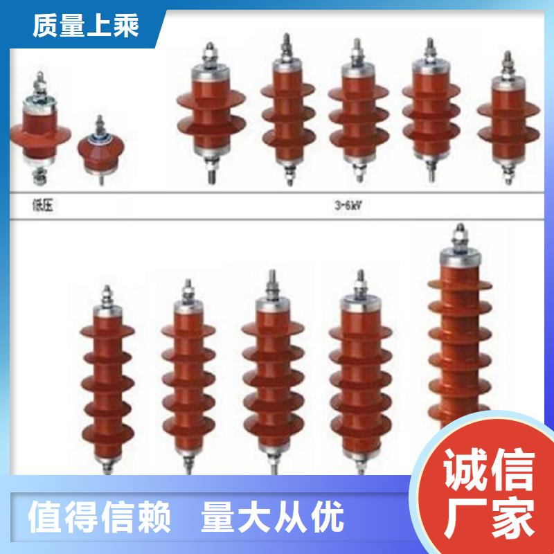 避雷器Y10W5-116/302GY【羿振电气】