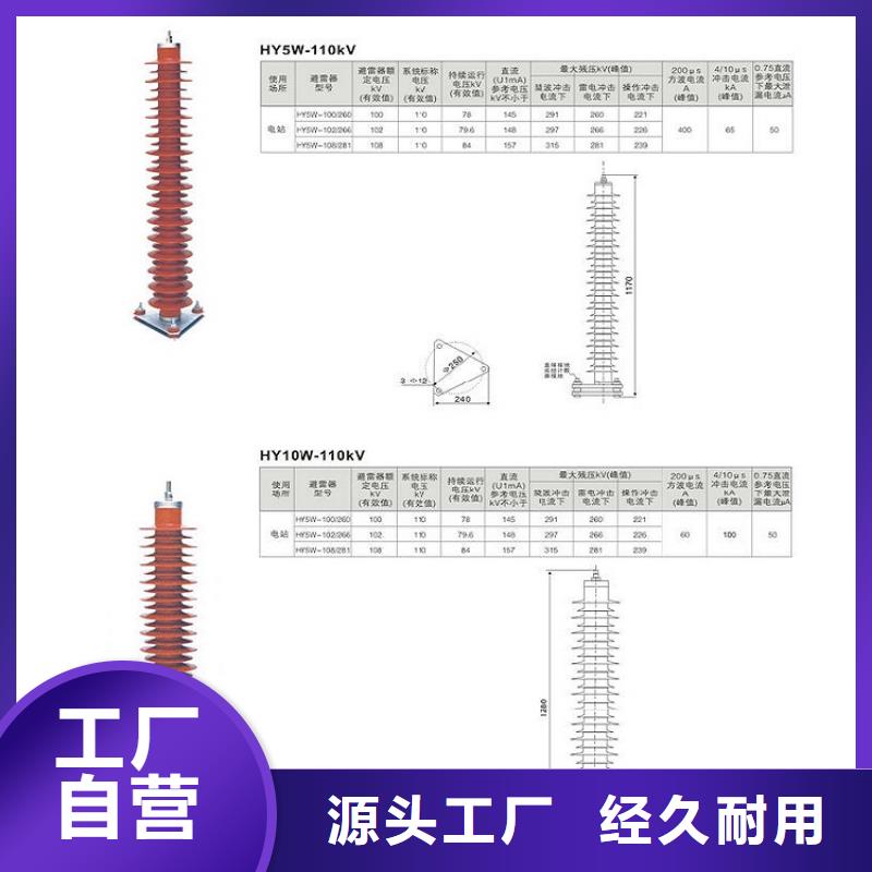 避雷器Y5WS-10/30【羿振电气】