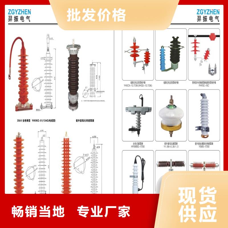 避雷器Y10W5-96/250【羿振电气】