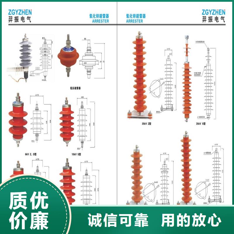 避雷器Y10W5-116/302GY【羿振电气】