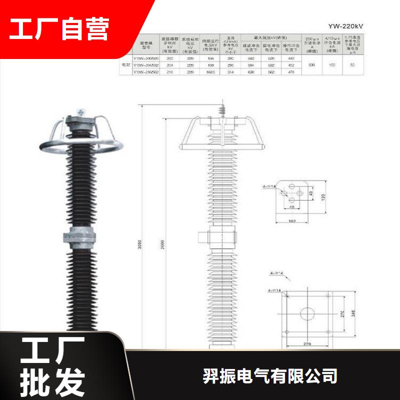 避雷器Y10W-100/260浙江羿振电气有限公司