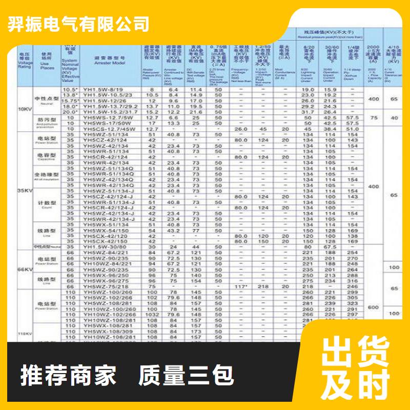 避雷器Y10W-100/260浙江羿振电气有限公司