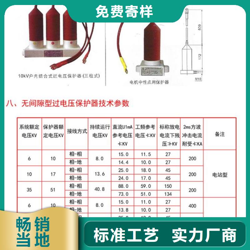 〖过电压保护器〗TBP-B-6.3/85-J放心购买