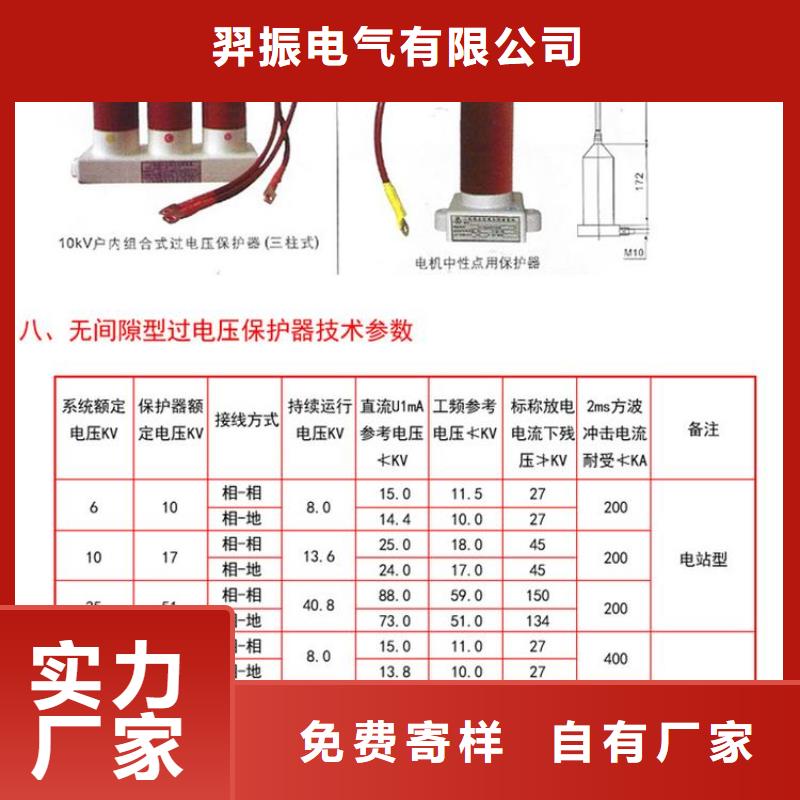 保护器(组合式避雷器)YH5CS-12.7/45*12.7/45