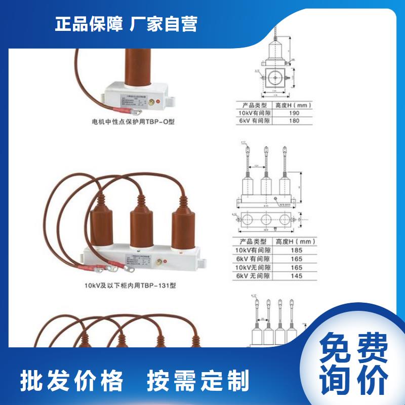 过电压保护器(组合式避雷器)TBP-C-7.6/131