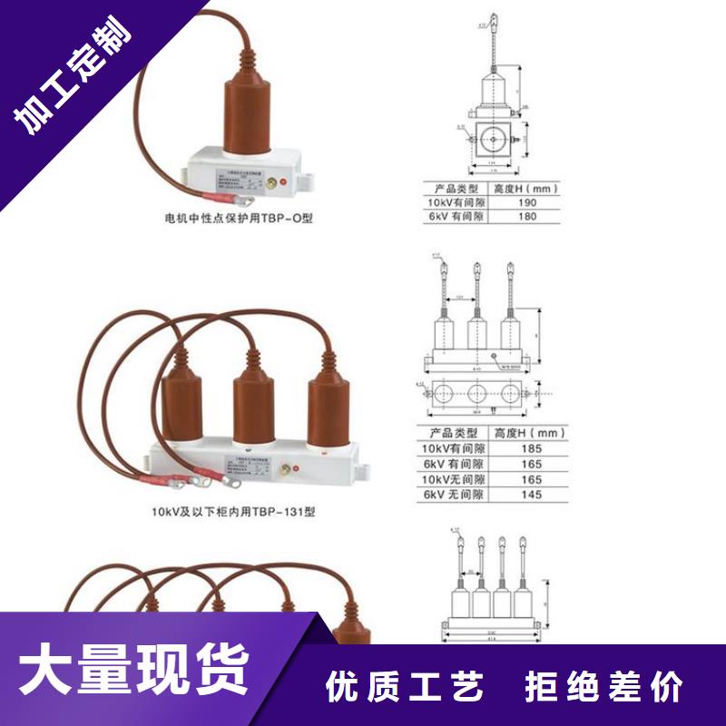 保护器(组合式避雷器)RSB-A/F-6.3/W