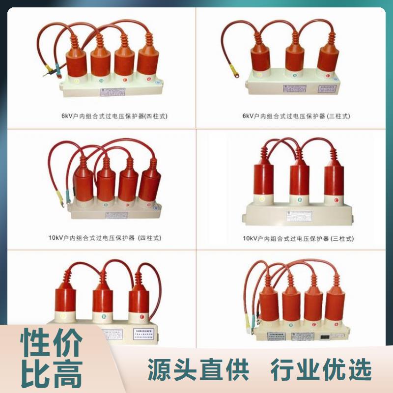 保护器(组合式避雷器)YH5CS-12.7/45*12.7/45