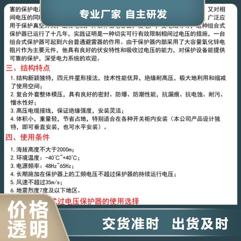 过电压保护器(组合式避雷器)YH5CZ-12.7/41*12.7/41