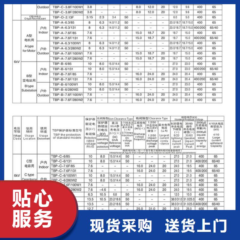 〖过电压保护器〗TBP-C-10.5/85-J源头好货