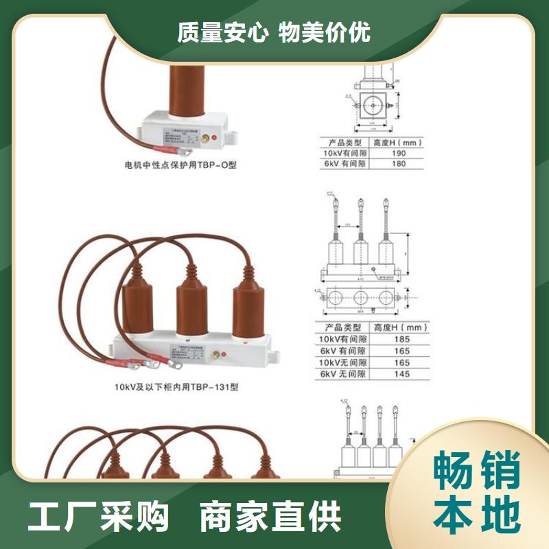 【过电压保护器】TBP-A-12.7/131-J