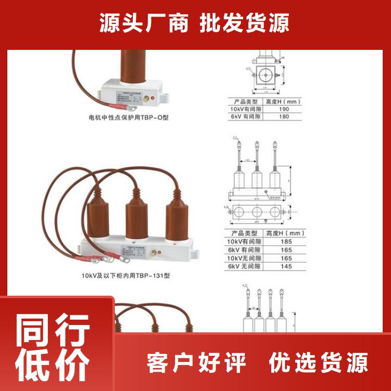 保护器(组合式避雷器)RSB-A/F-6.3/W