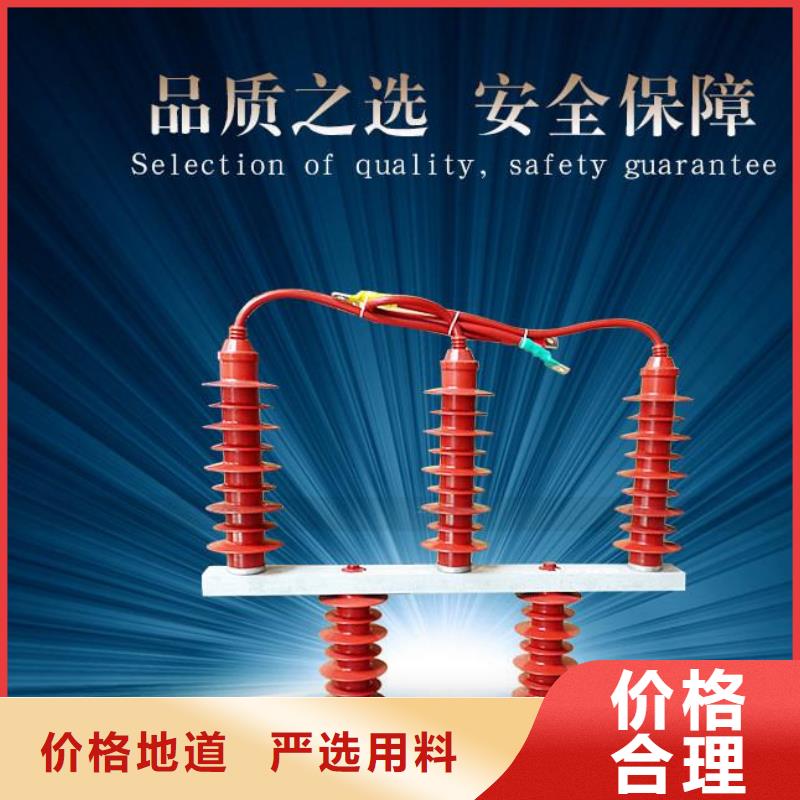 保护器(组合式避雷器)YH5WR-10/27*10/27