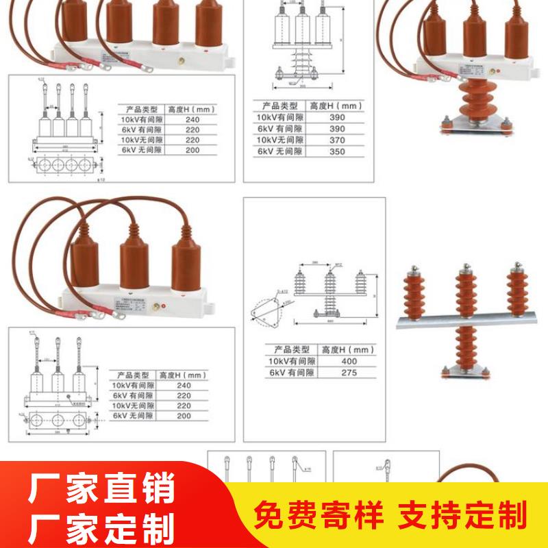 过电压保护器(组合式避雷器)TBP-C-42F/280-IM