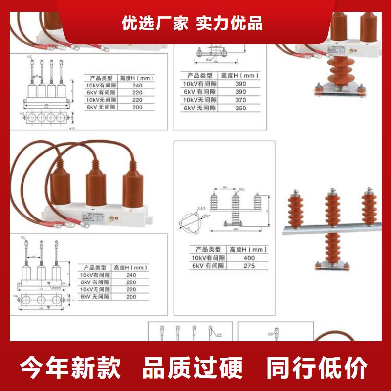 〖过电压保护器〗BSTG-A-17/600全国发货