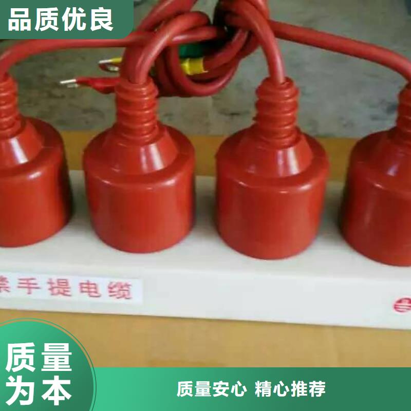 保护器(组合式避雷器)RSB-A/F-6.3/W