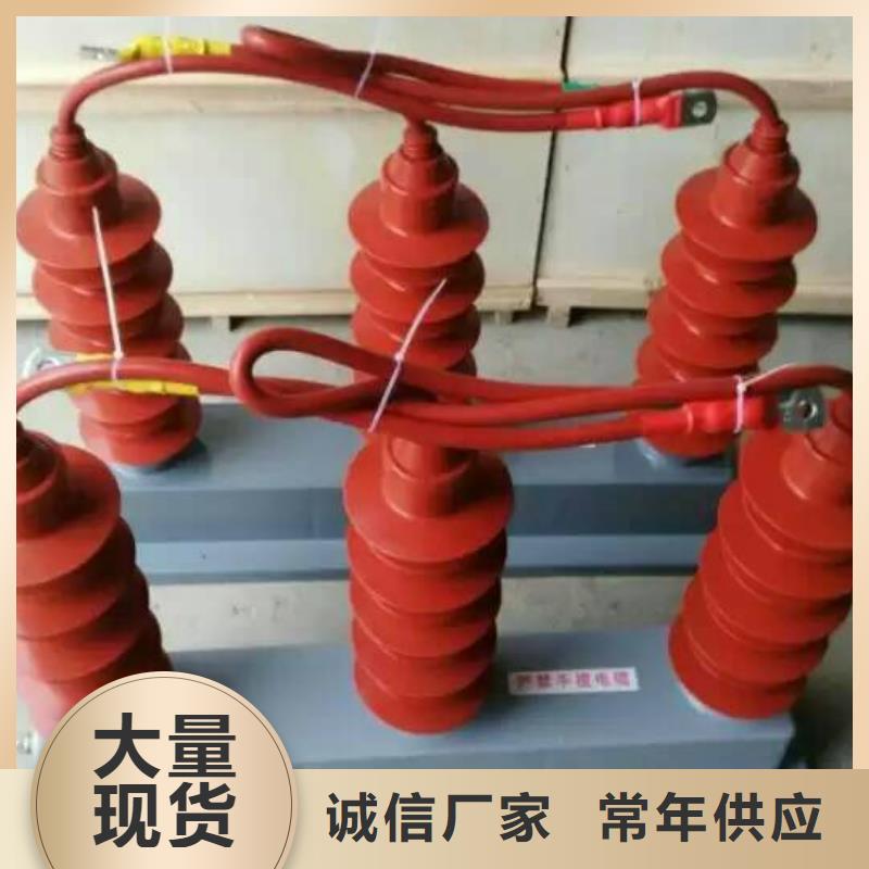 过电压保护器(组合式避雷器)TBP-B-6.3/131