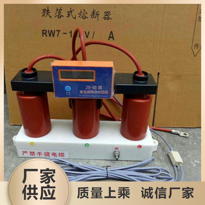 保护器(组合式避雷器)YH5CS-12.7/45*12.7/45