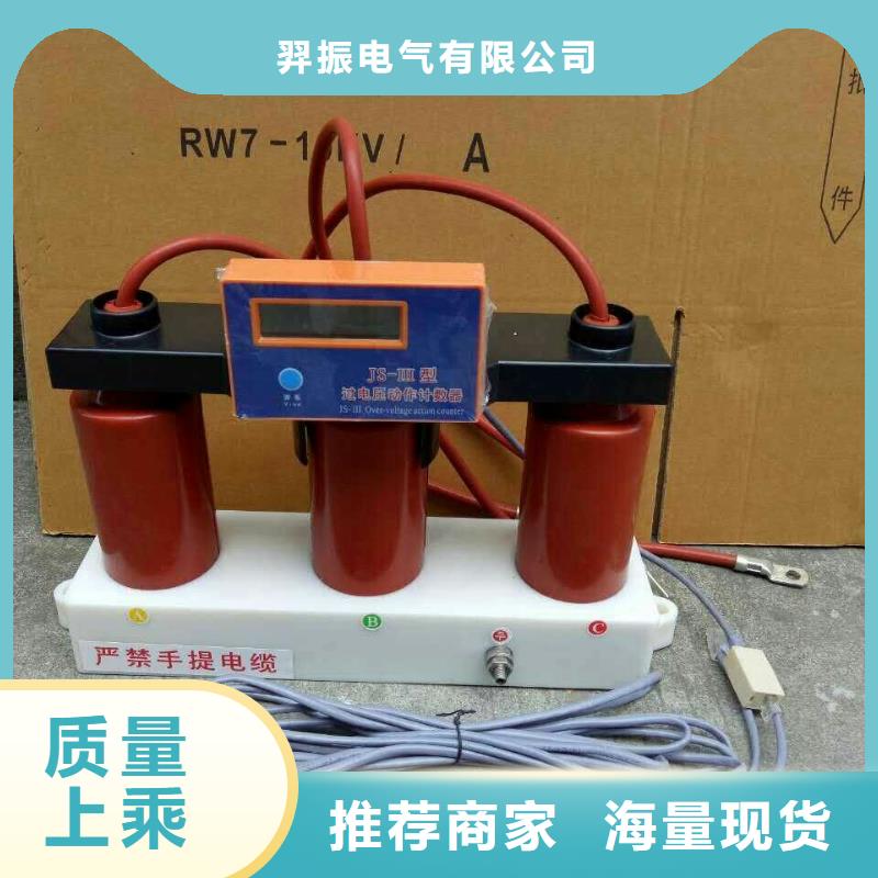 保护器(组合式避雷器)BSTG-C-17