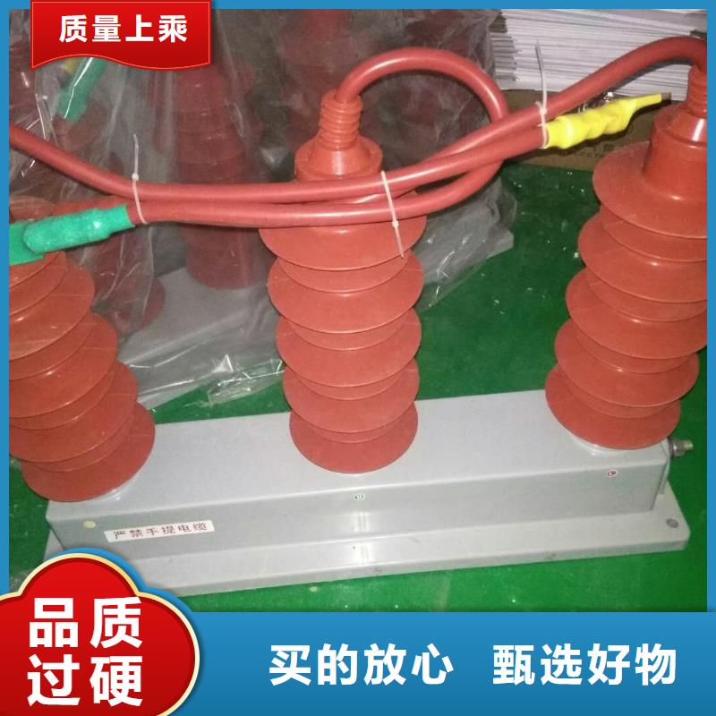 保护器(组合式避雷器)TBP-W-B/6-T组合过电压保护器