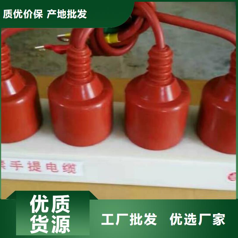 保护器(组合式避雷器)RSB-A/F-6.3/W