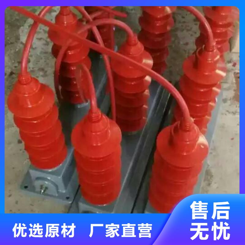 保护器(组合式避雷器)TBP-A-6.3/85-J