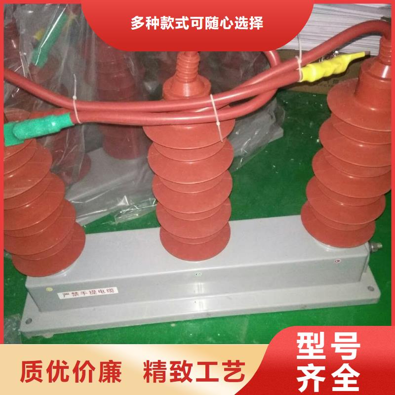 保护器(组合式避雷器)RSB-A/F-6.3/W