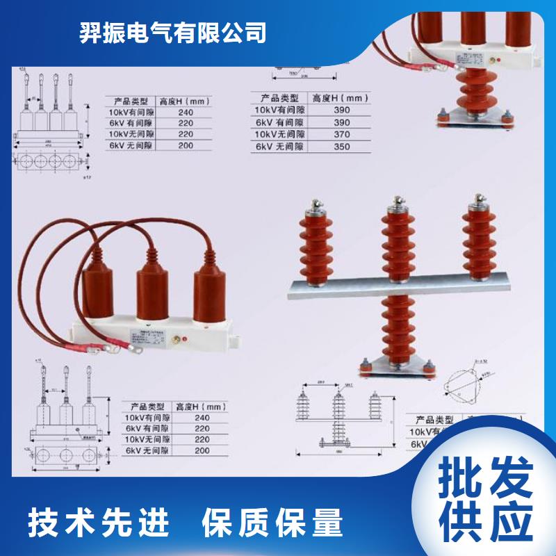 过电压保护器(组合式避雷器)SYB-A-7.6KV/131-J