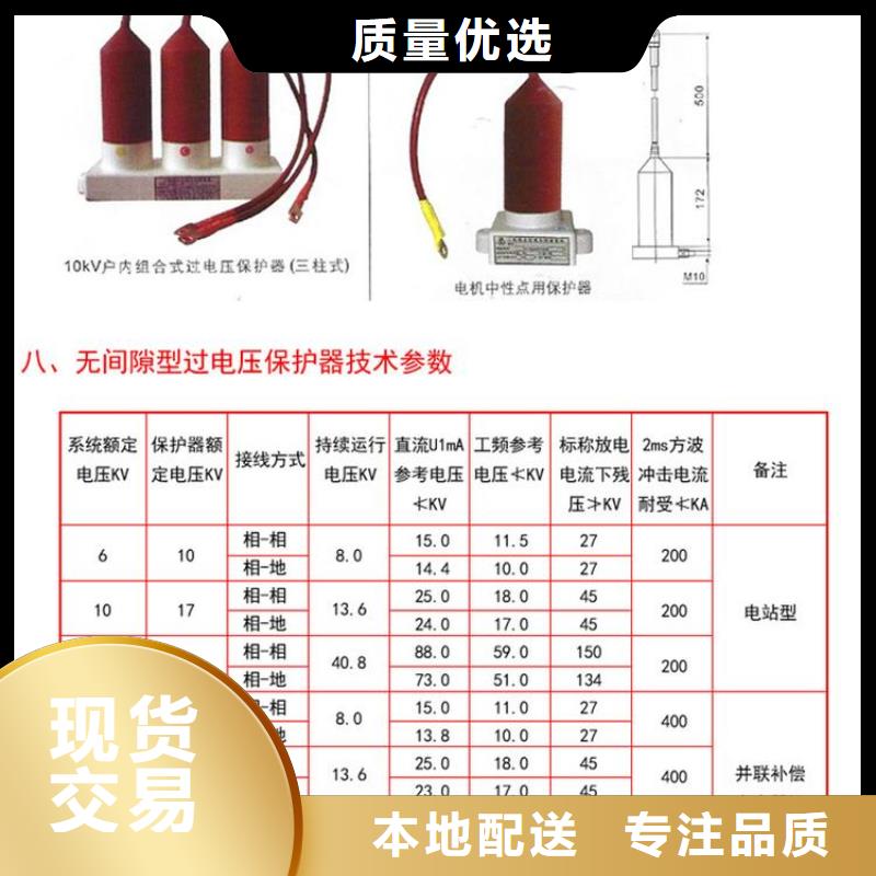 过电压保护器(组合式避雷器)TBP-C-7.6/131