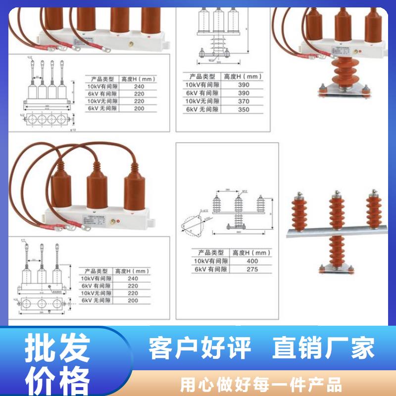 过电压保护器(组合式避雷器)TBP-B-12.7F/131