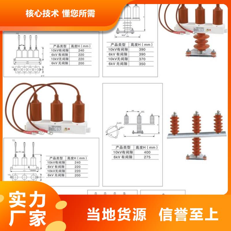 过电压保护器(组合式避雷器)TBP-C-7.6/131