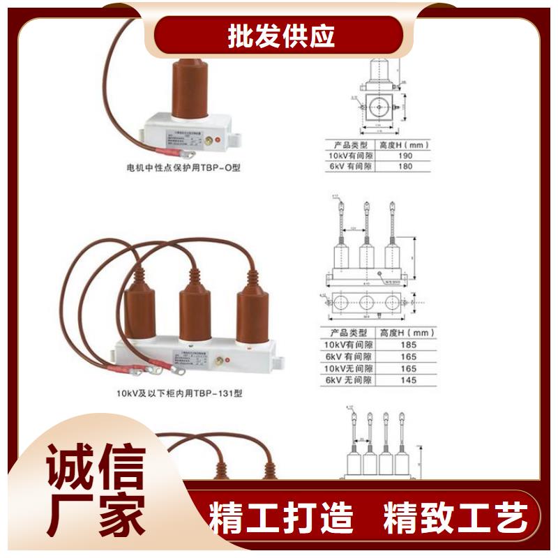 过电压保护器TGB-B-12.7/N