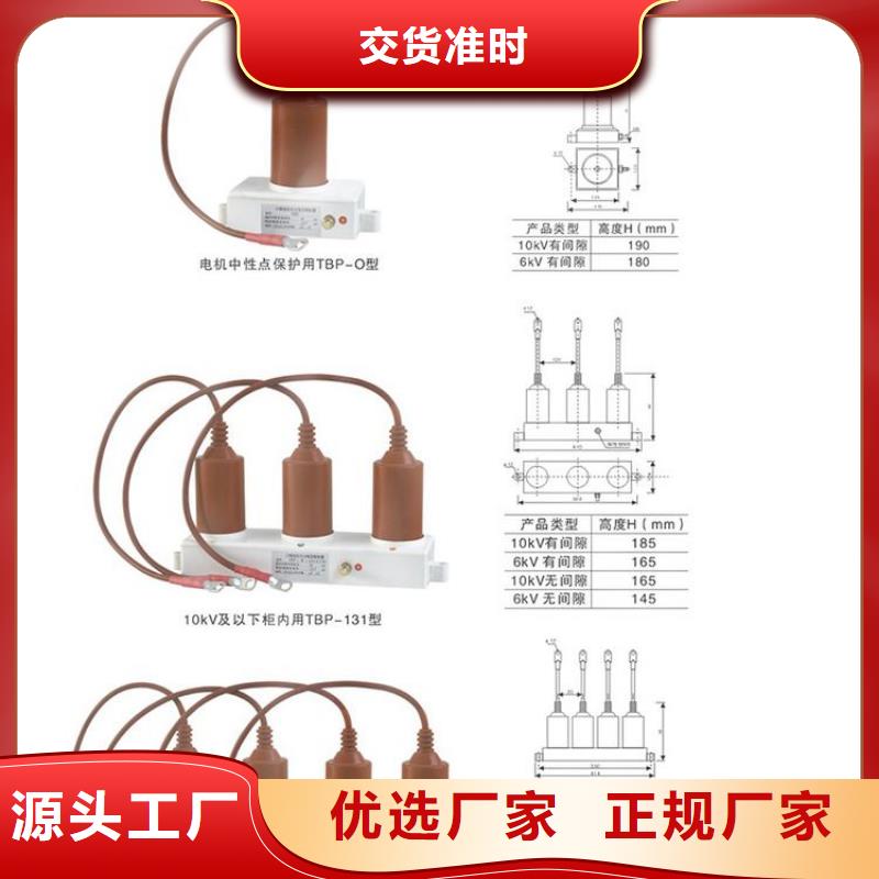 过电压保护器(组合式避雷器)YH5CS-7.6/27*7.6/27