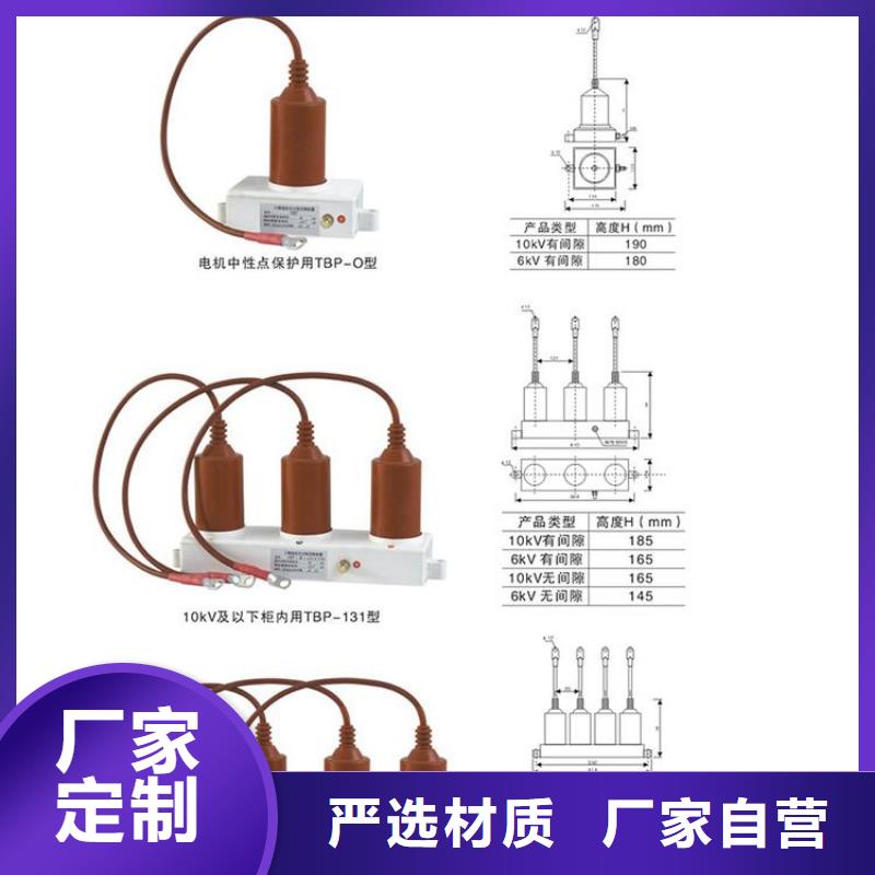 过电压保护器(组合式避雷器)TBP-C-12.7/100W1