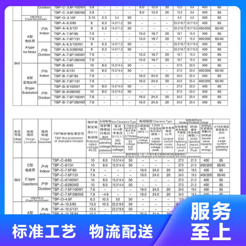 过电压保护器(组合式避雷器)HY5WR-10/27*2