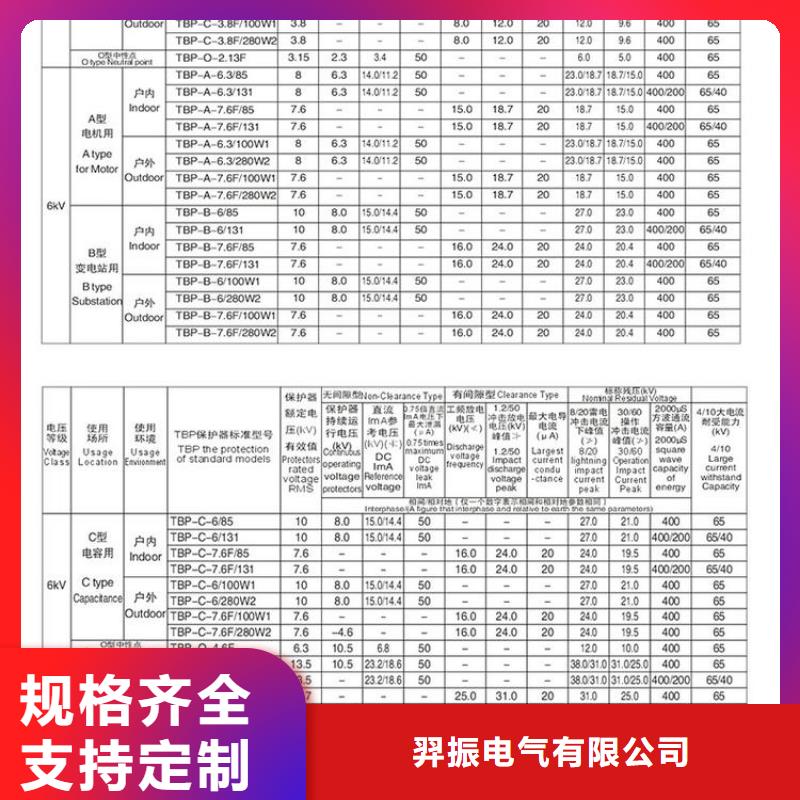 过电压保护器(组合式避雷器)TBP-C-7.6/131