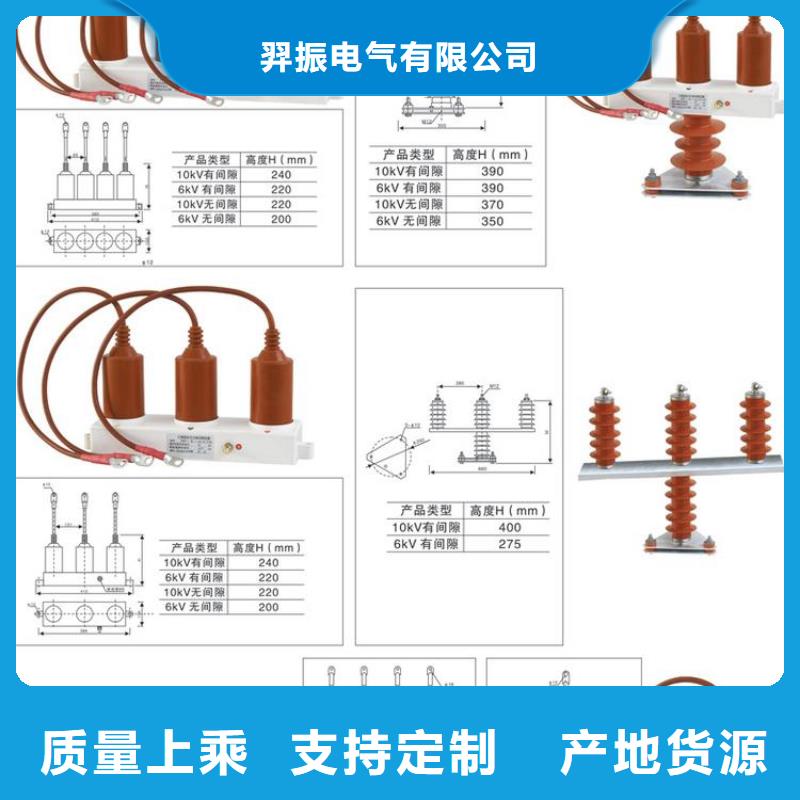 〖过电压保护器〗TBP-B-6.3/85-J放心购买