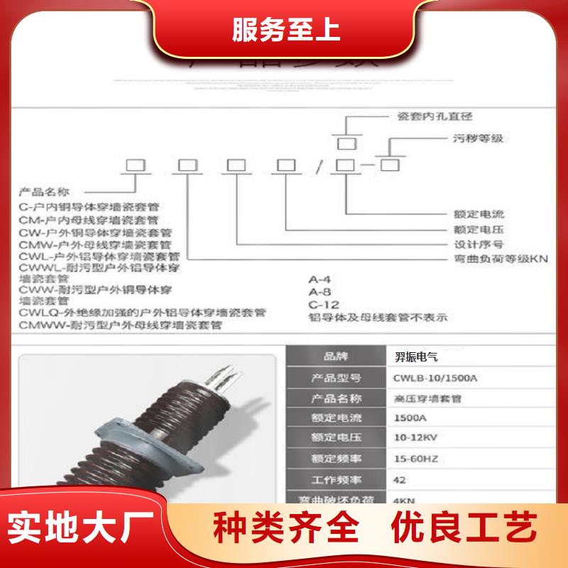 【高压穿墙套管】CWC-20KV/3150