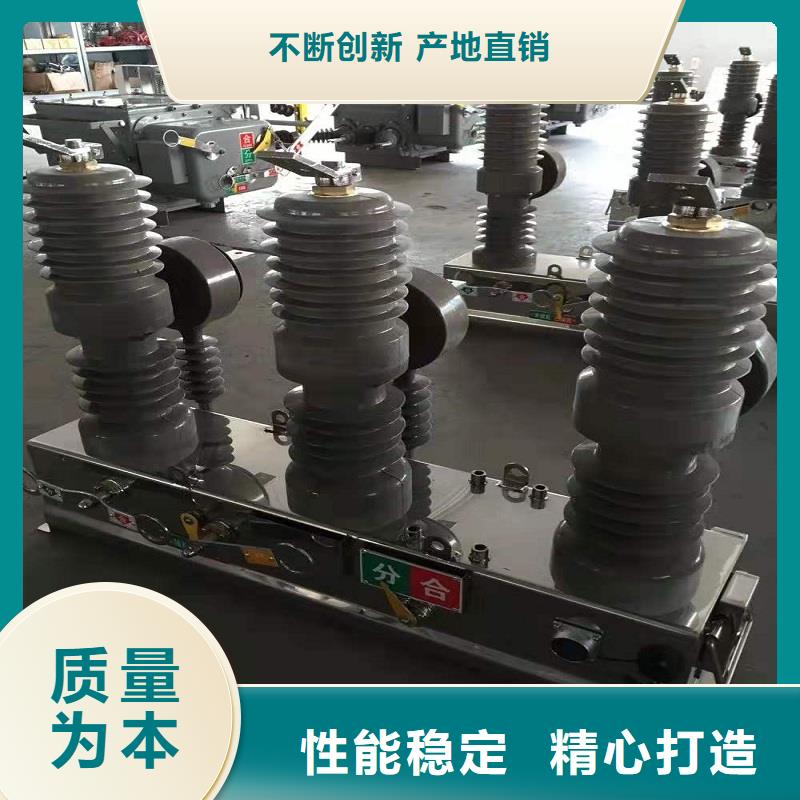 品牌：【羿振电气】/负荷开关.AC10kV.630A.20kA.真空.用户分界/选型