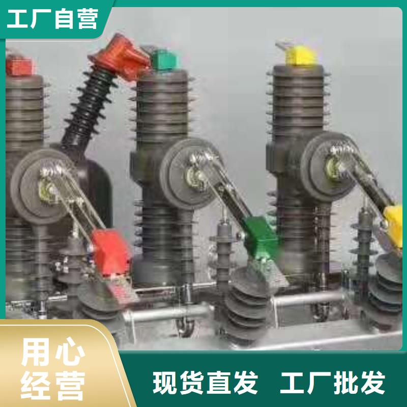 ZW32-12/630A户外高压柱上真空断路器手动智能型看门狗10KV