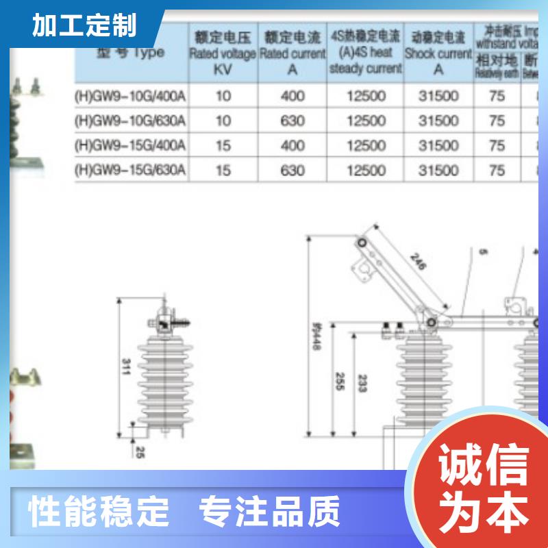 单极隔离开关FGW9-15/400图片