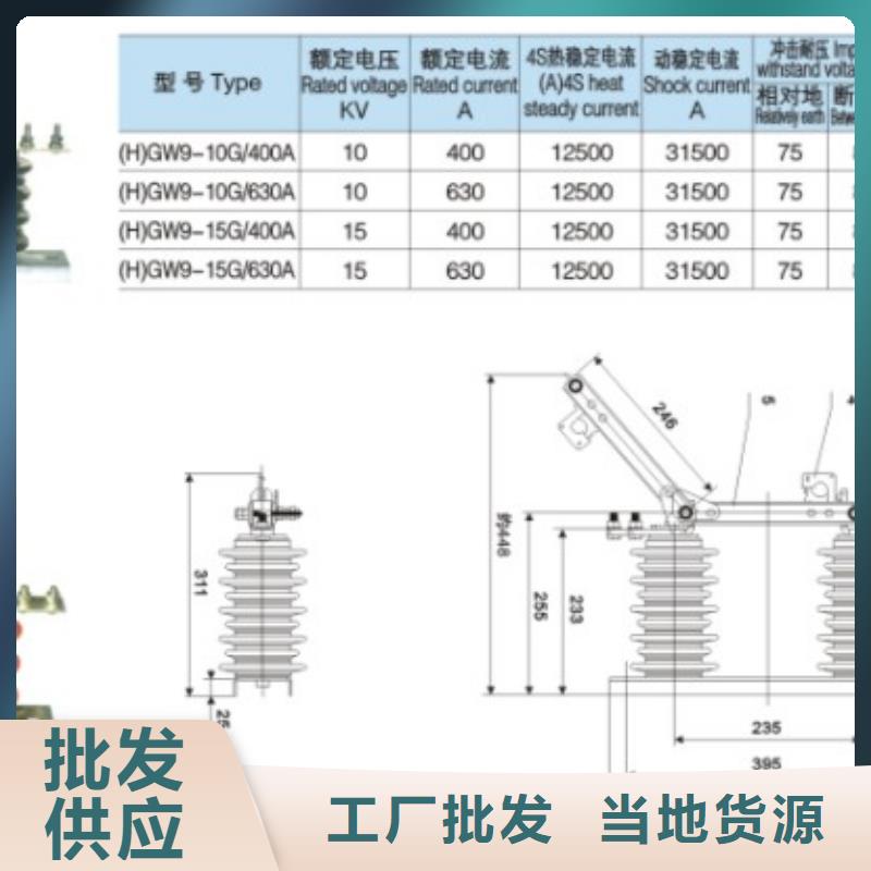 HGW9-10KV/400A