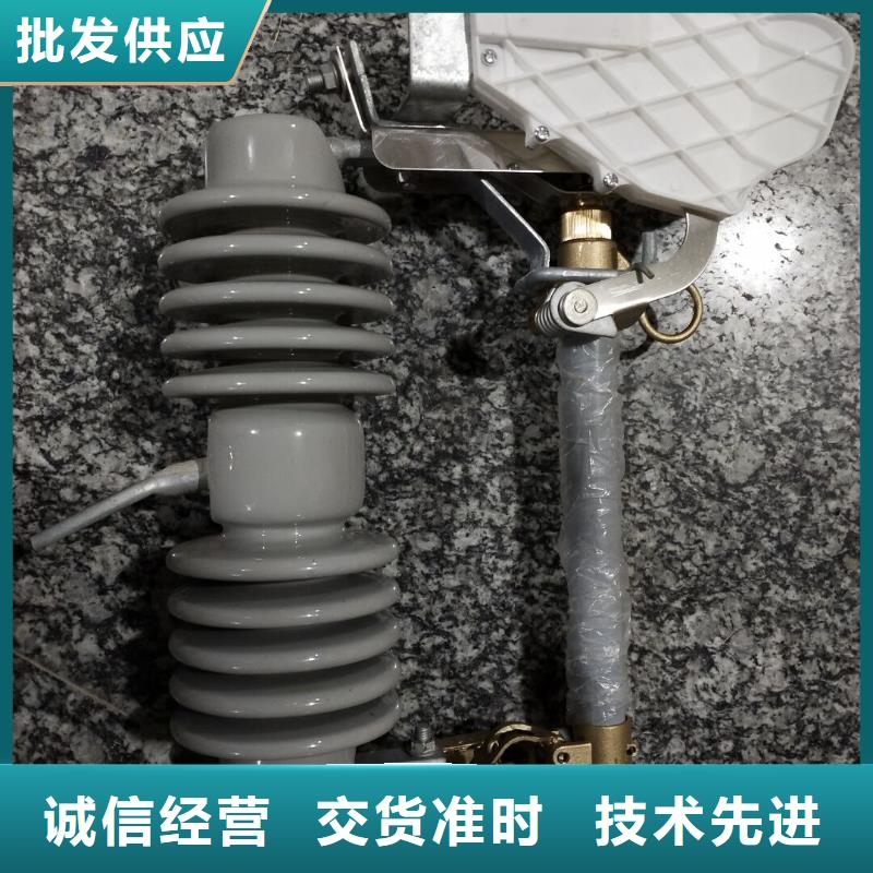 熔断器_【避雷器】工厂直供