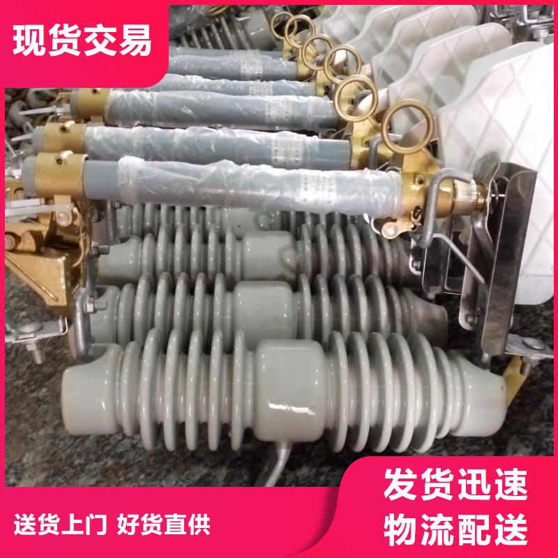 高压熔断器/HRW12-10KV/100A