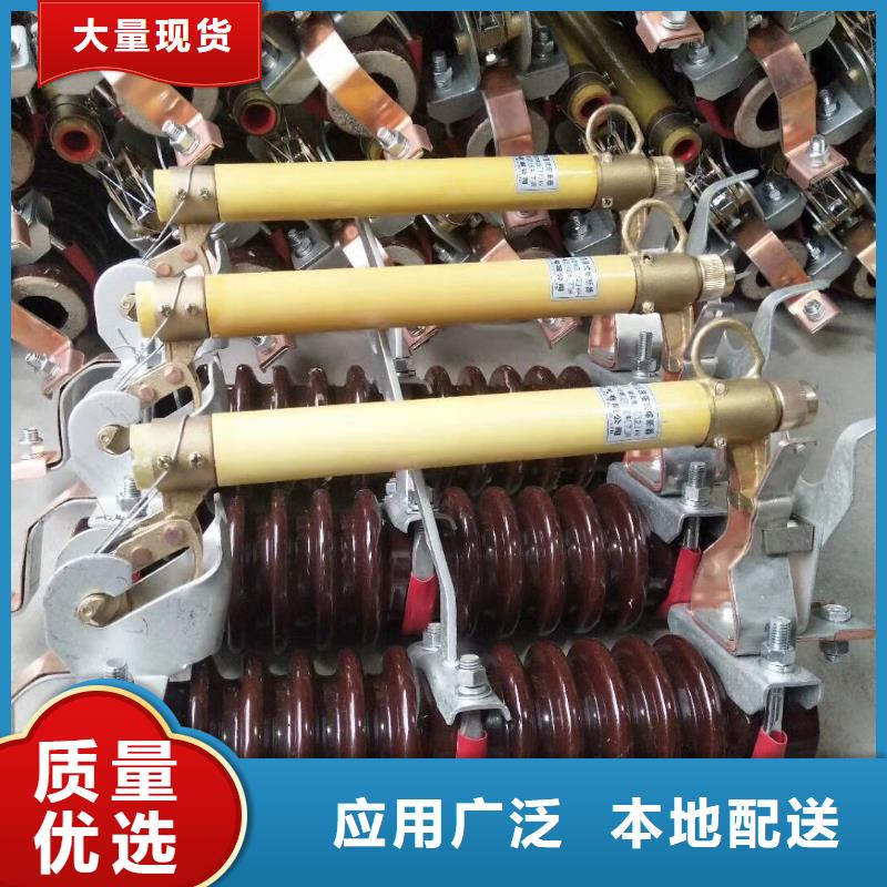 高压熔断器/HRW4-10KV/100A