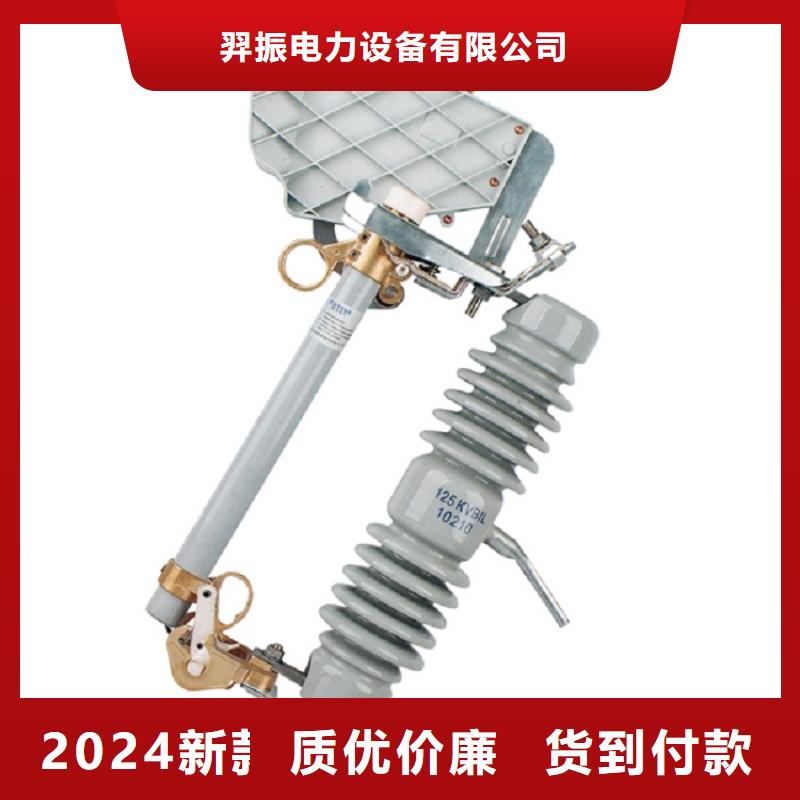 熔断器 【避雷器】优选厂家