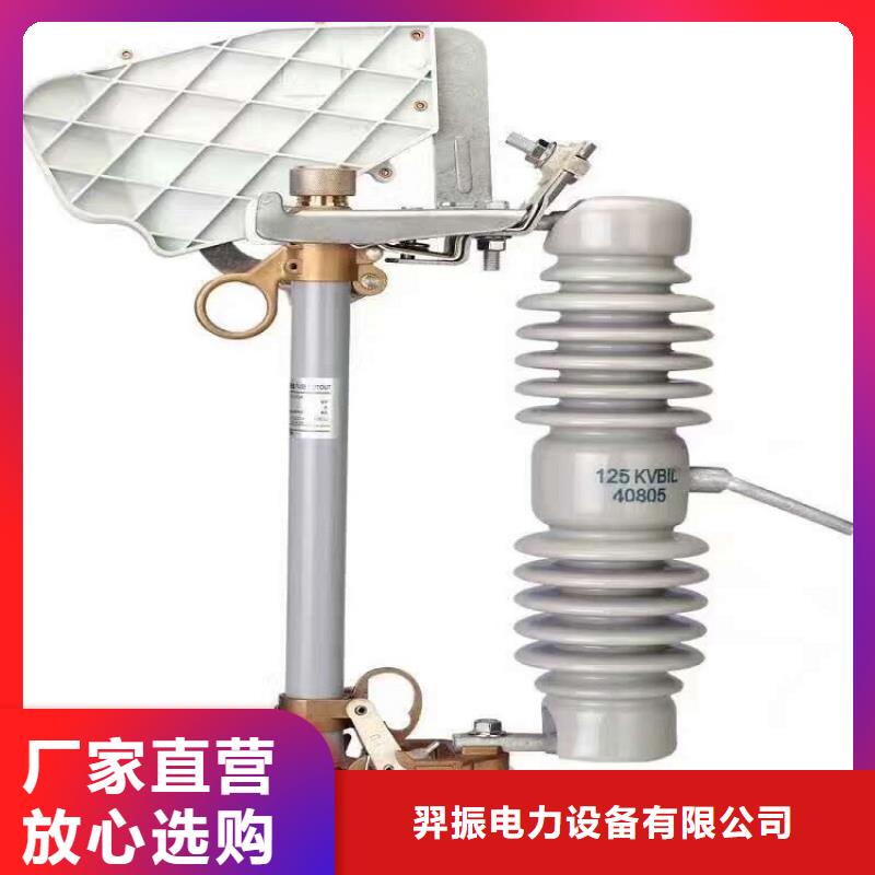 熔断器三相组合式避雷器专业生产品质保证